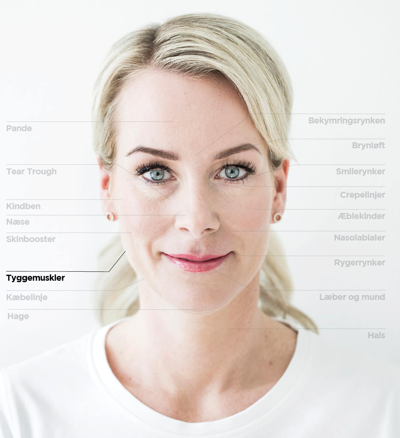 Tyggemuskler