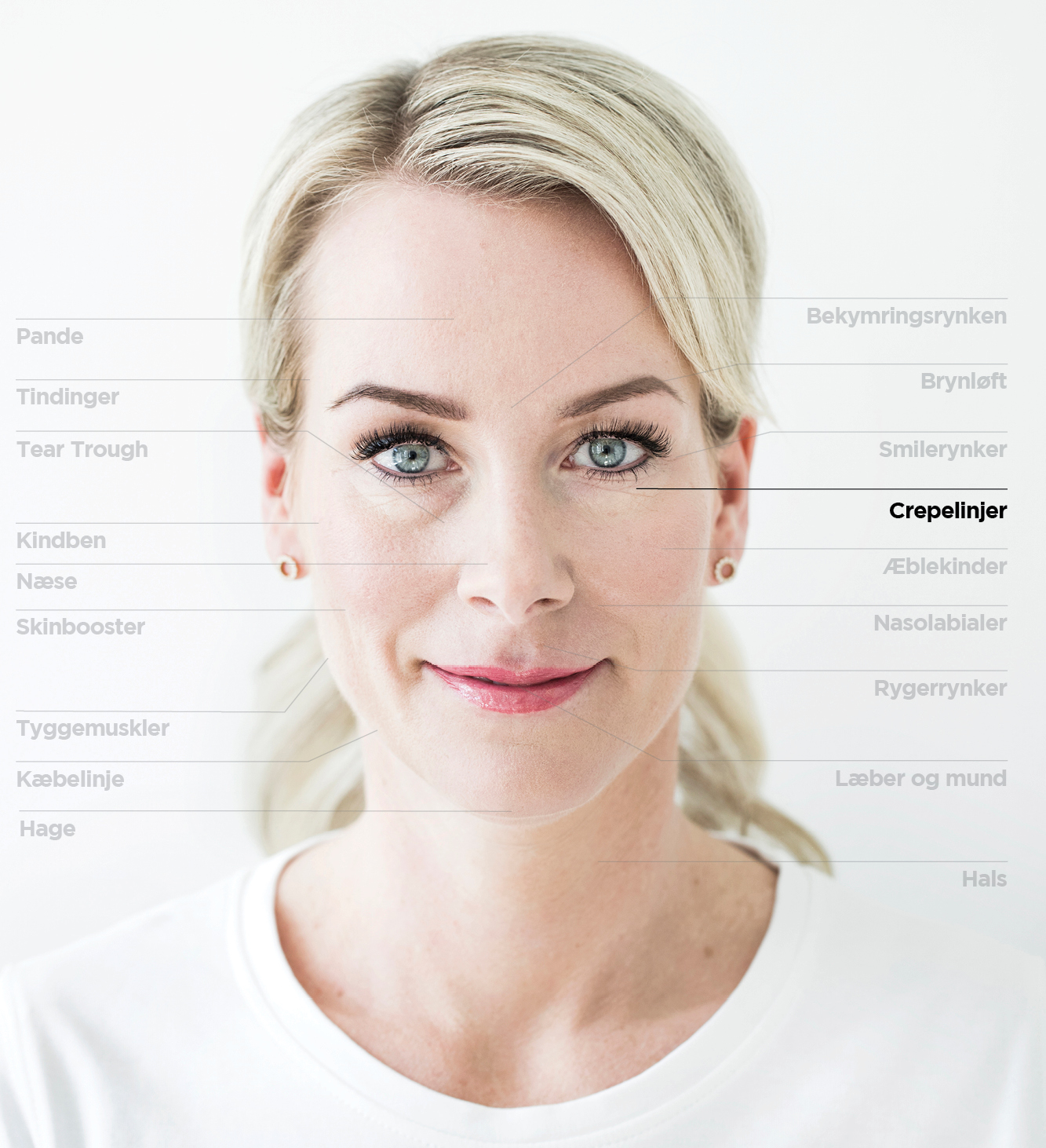 Crepe Linjer