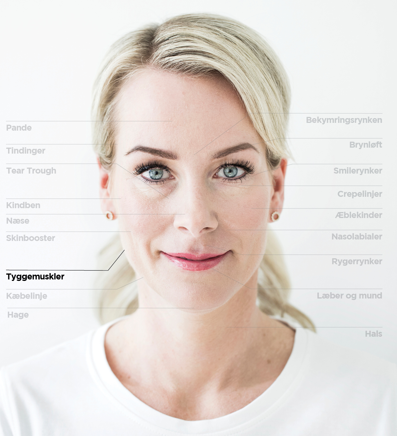 Tyggemuskler
